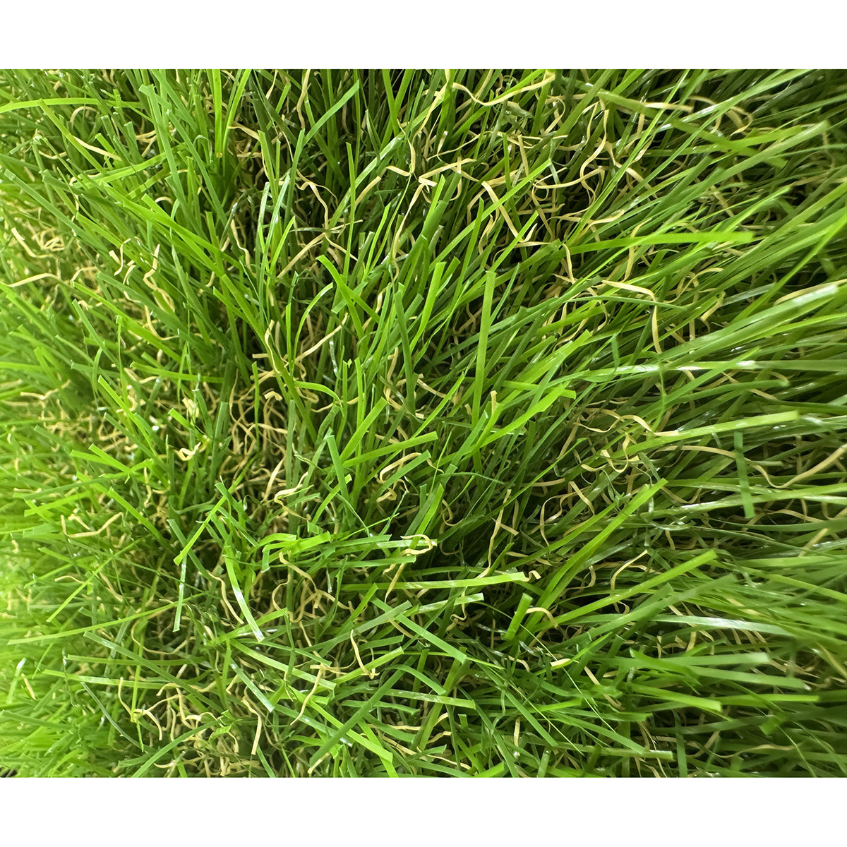 Erba sintetica 1 metro spessore 40 mm verde effetto reale