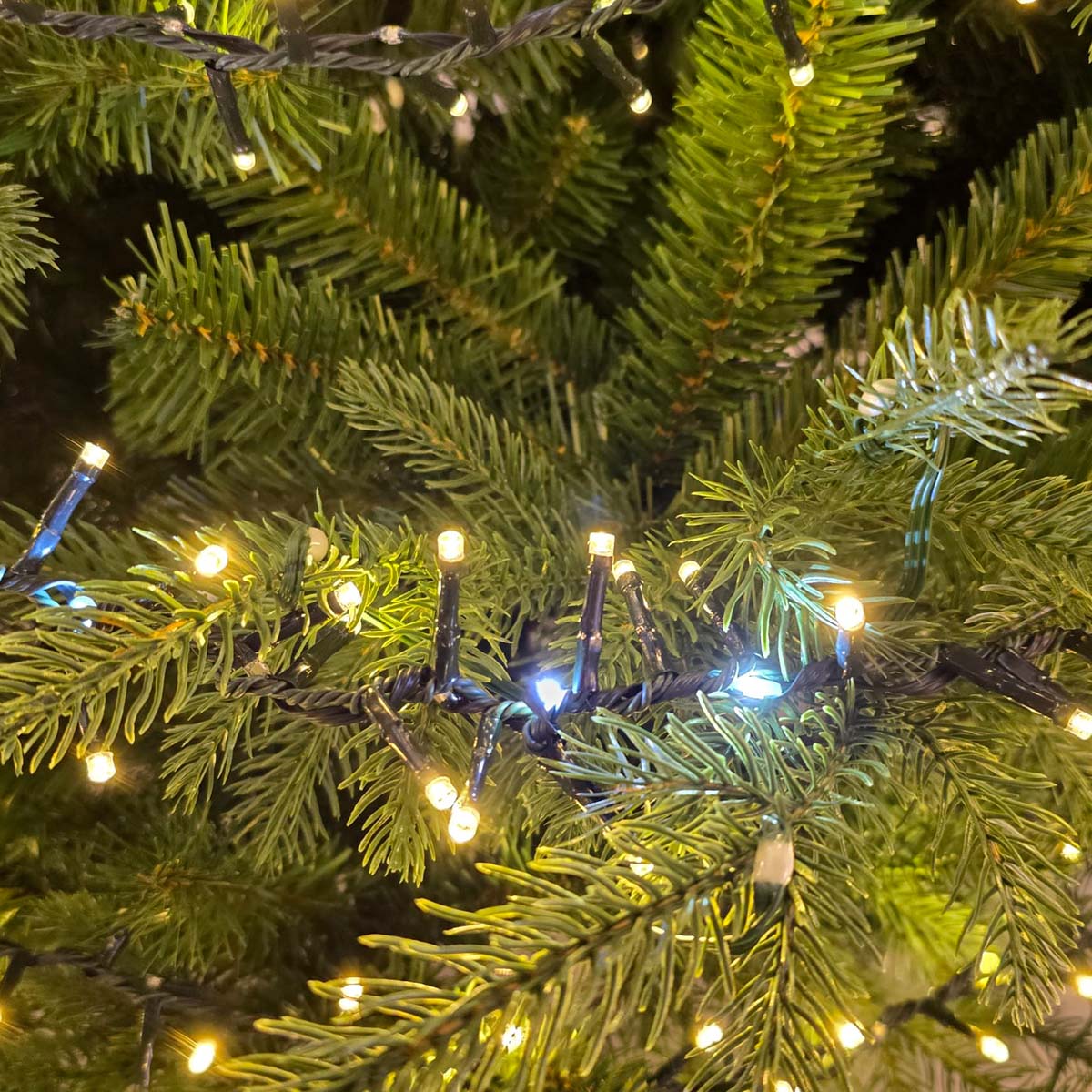 Catena luci di Natale minicluster 30 metri 1660 LED bianco caldo e freddo Lotti