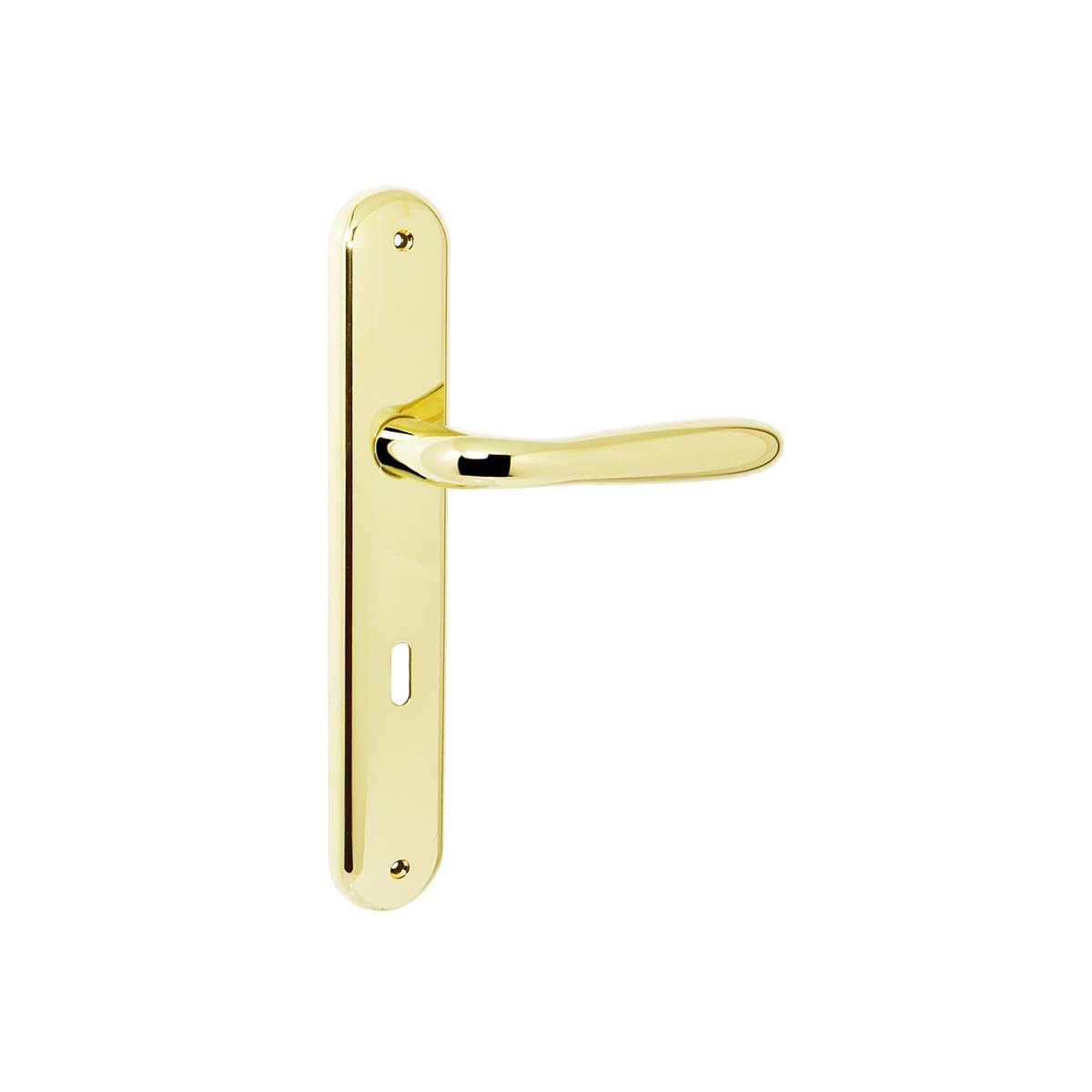 Maniglia per porta battente con placca interasse 70mm Colombo Robot