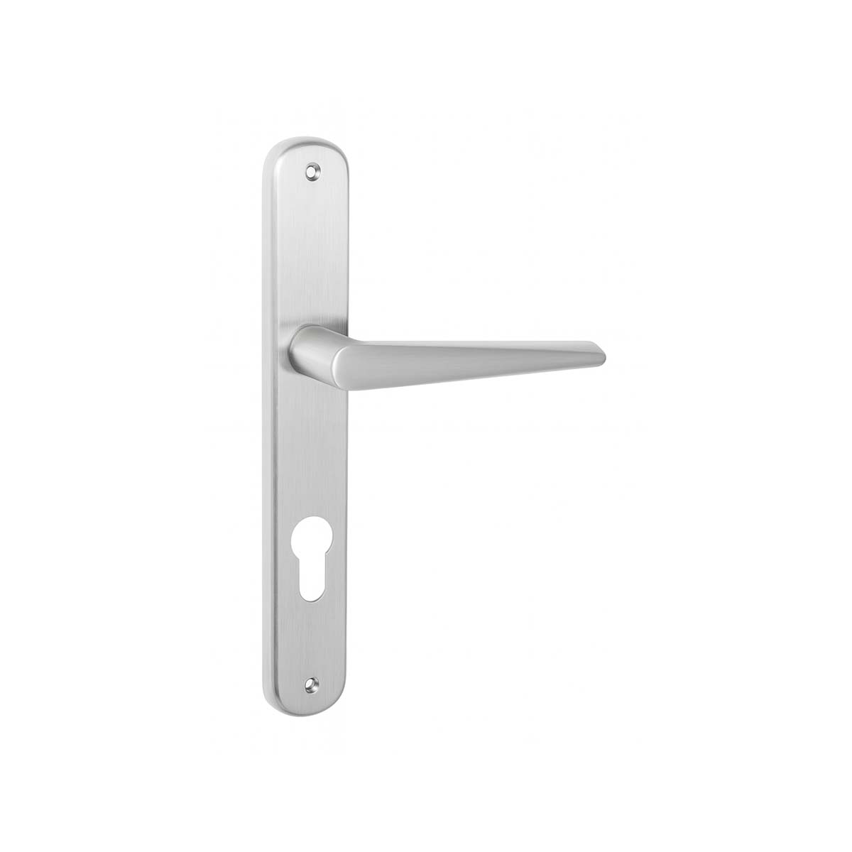 Maniglia per porta battente con placca interasse 85mm Colombo ROBOTRE