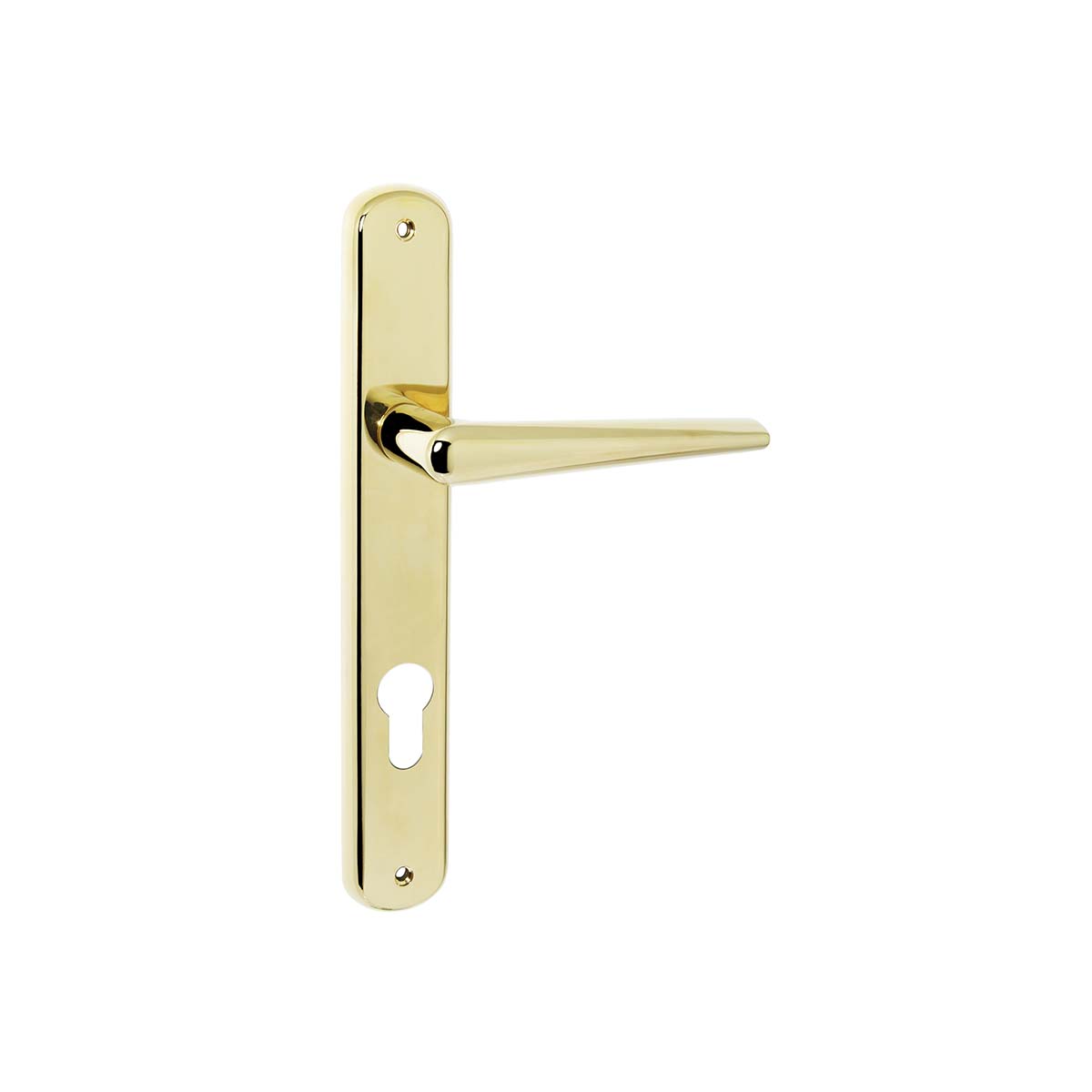 Maniglia per porta battente con placca interasse 85mm Colombo ROBOTRE