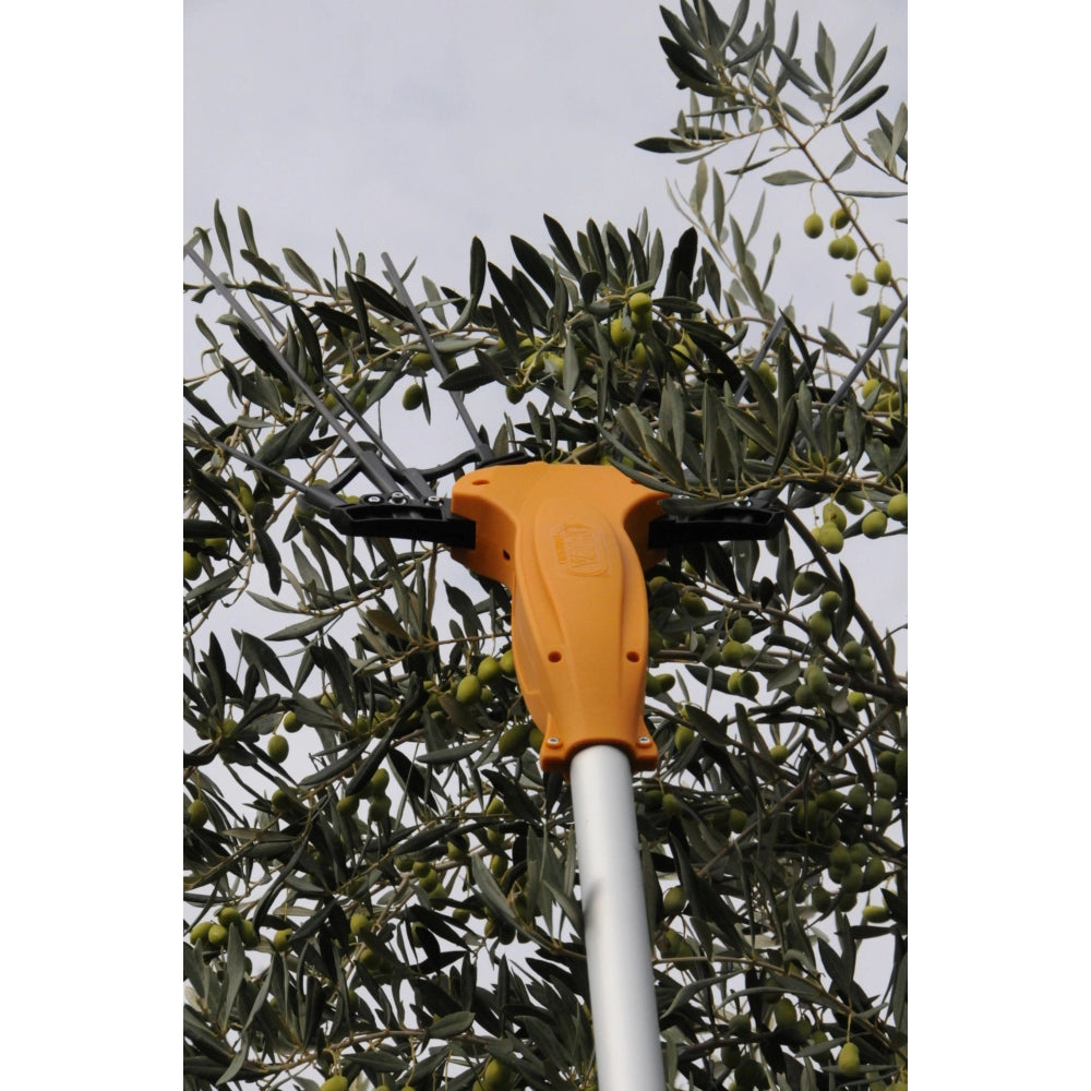 Abbacchiatore per olive Olytech Essential 12 V con asta telescopica 2,1-3 mt