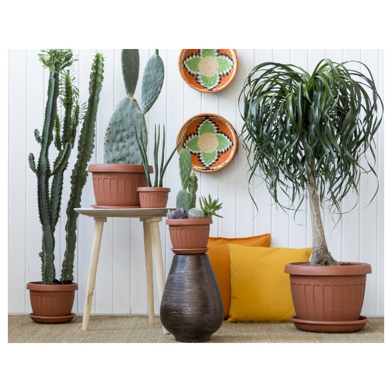 Vaso Terra Bama colore terracotta