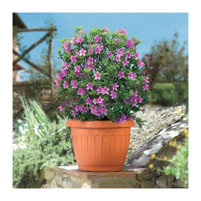 Vaso Terra Bama colore terracotta