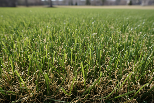 Guida Completa al Prato Sintetico: Come Scegliere lo Spessore Giusto