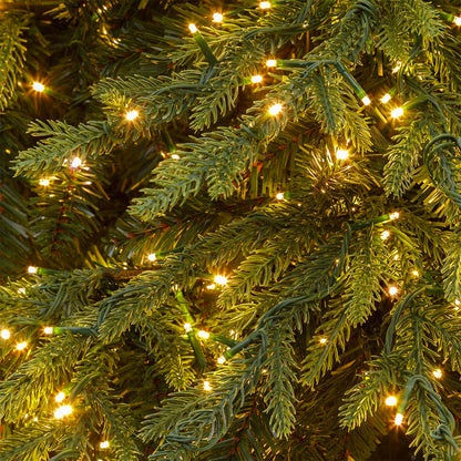 Albero di Natale pino deluxe con luci miniLED Lotti