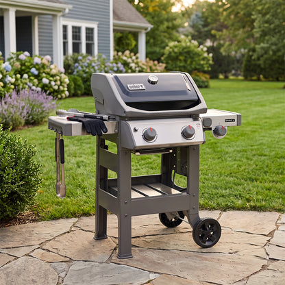 Barbecue a gas Weber Spirit II E-220 GBS