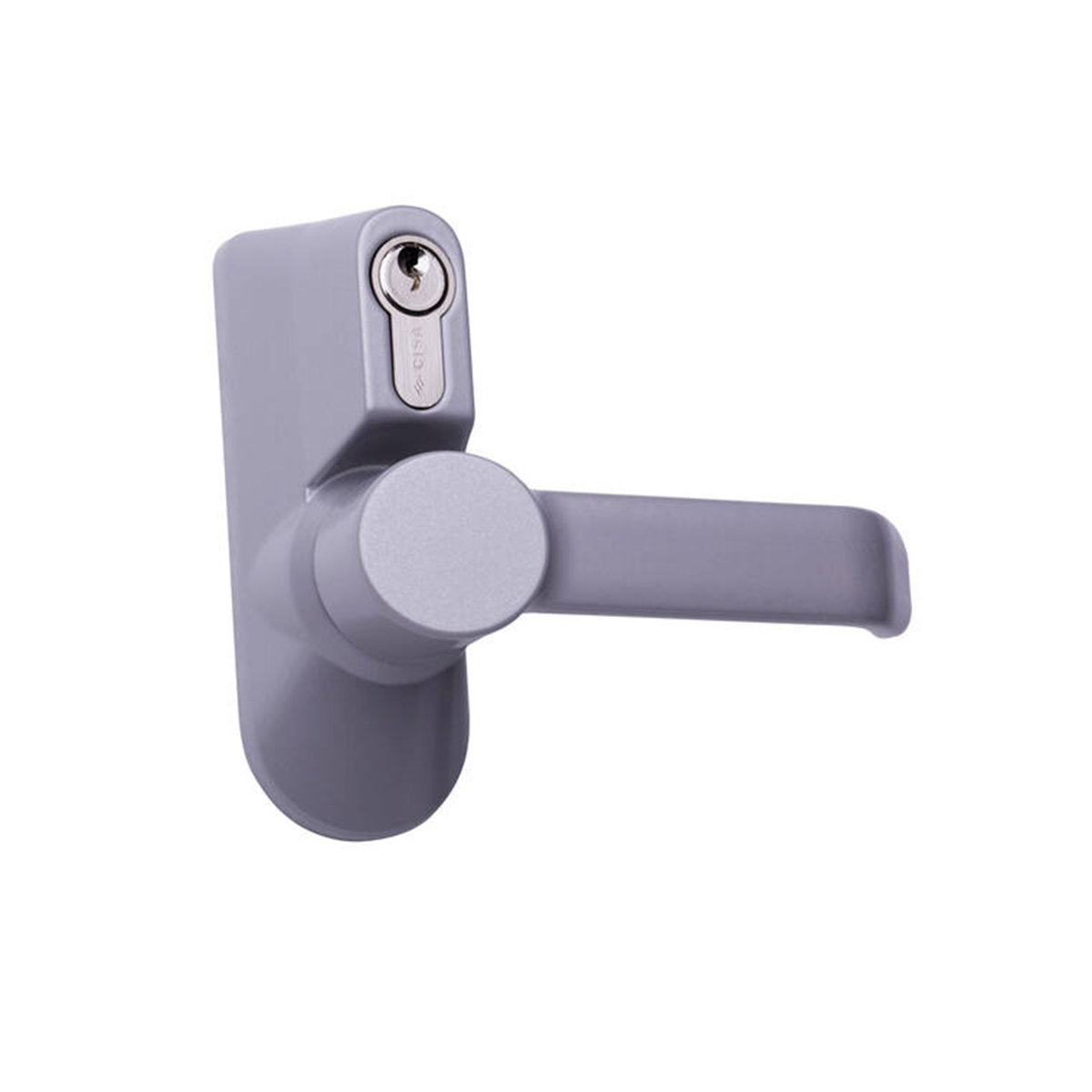 Maniglia con placca e cilindro verniciati grigio Cisa