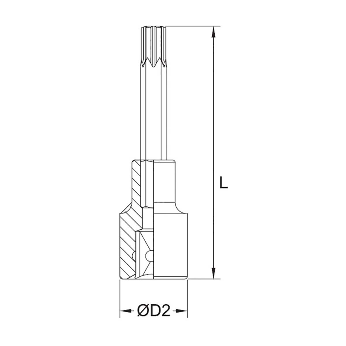 Bussola con inserto Torx lungo Fervi