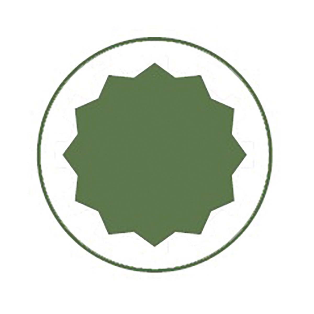 Chiave a bussola poligonale 10 mm 3/8" Fervi