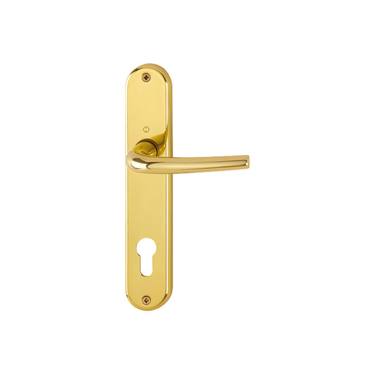 Maniglia Hoppe Seattle con placca interasse 85 mm foro cilindro oro lucido