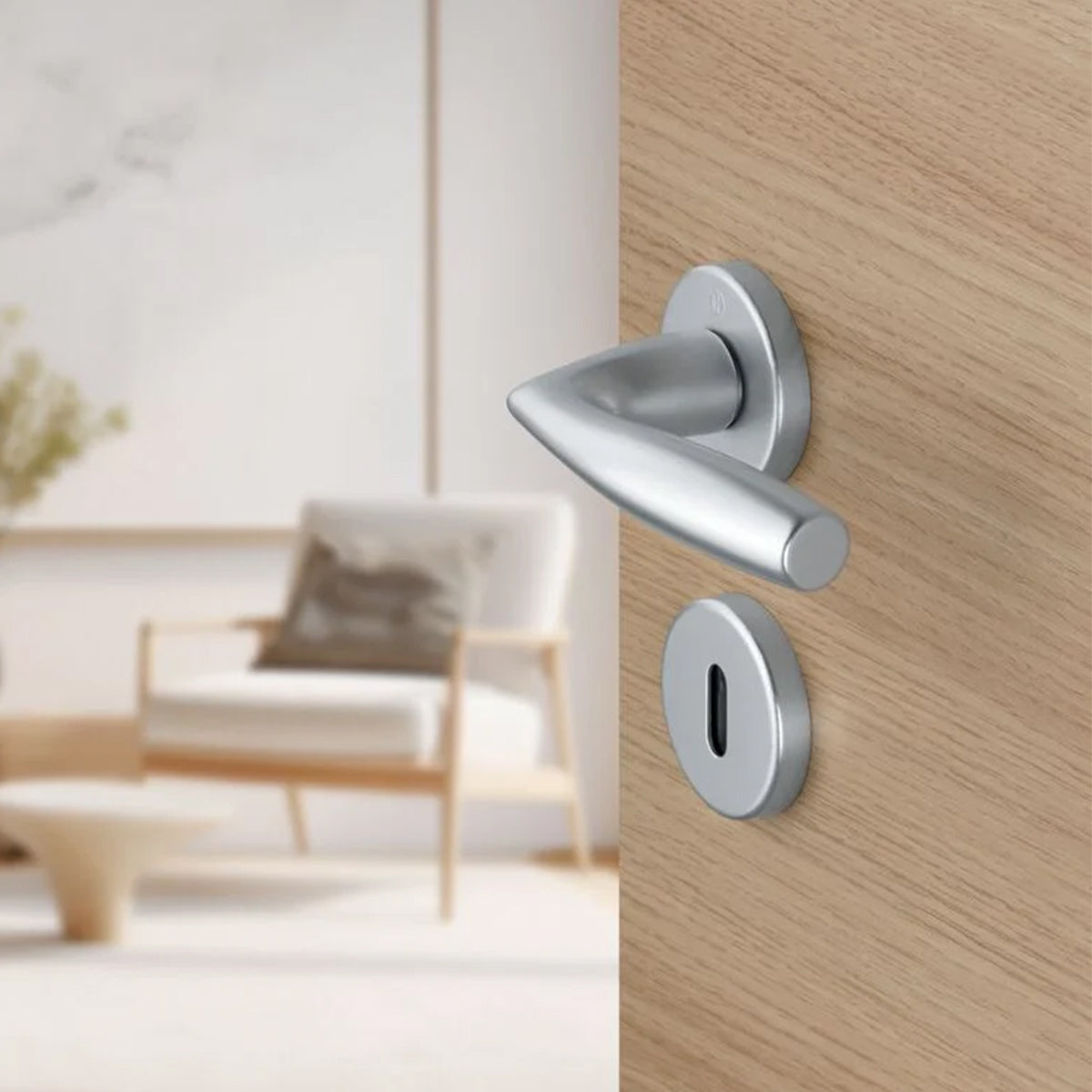 Maniglia Hoppe Vitoria rosetta e bocchetta tonde d. 52 mm argento