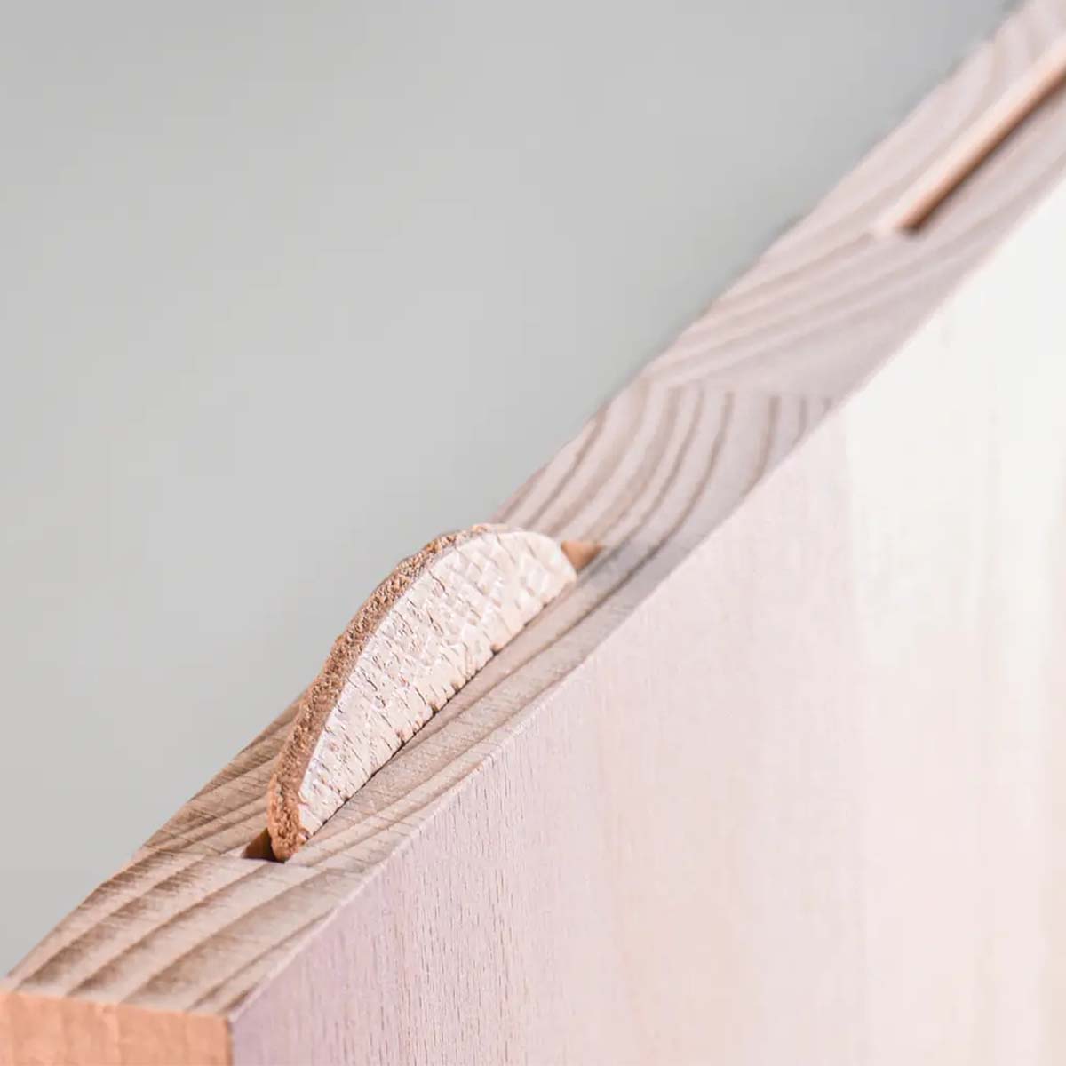 LAMELLO lamelle per mobili misura 20 confezione 1000pz