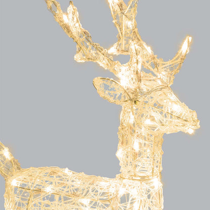 Renna natalizia luminosa 3D H 65 cm 80 LED