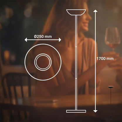 Lampada da terra LED ricaricabile senza fili 170 cm Briloner