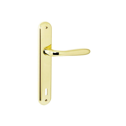 Maniglia per porta battente oro plus con placca interasse 90mm Colombo Robot