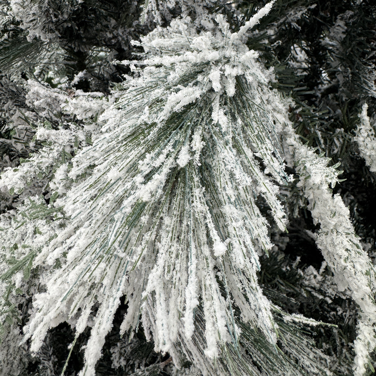 Albero di Natale innevato con pigne Dunder