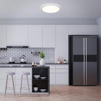 Plafoniera Free Led ultrapiatta d. 42 cm 22 W 3000 lm bianco freddo argento