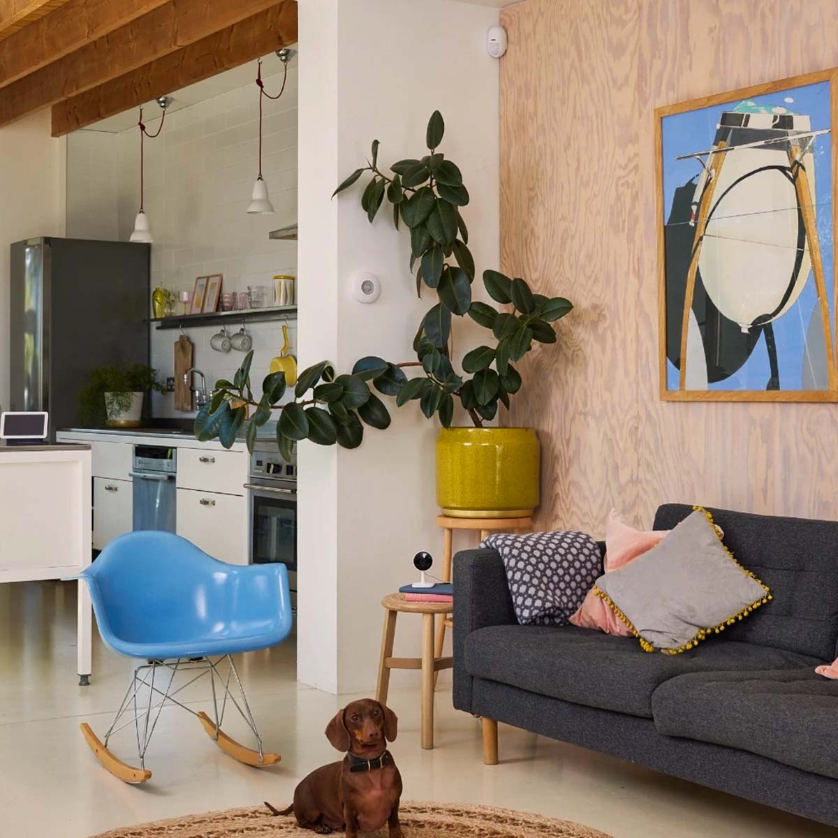 Sensore di movimento per interno smart Yale