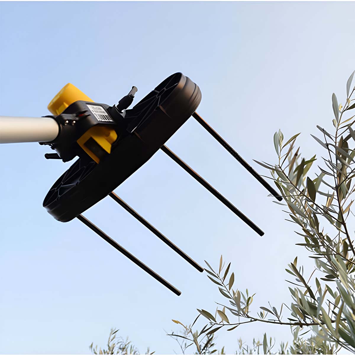 Abbacchiatore per olive a battieria Volpi 12V Giulivo 4YOU