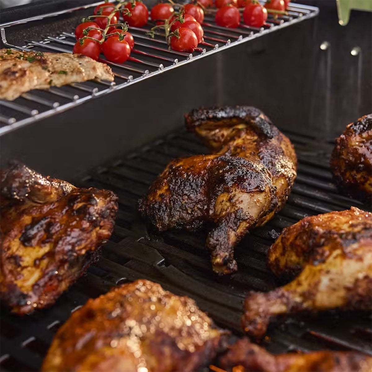 Barbecue a gas Weber Genesis E-425W 1501251