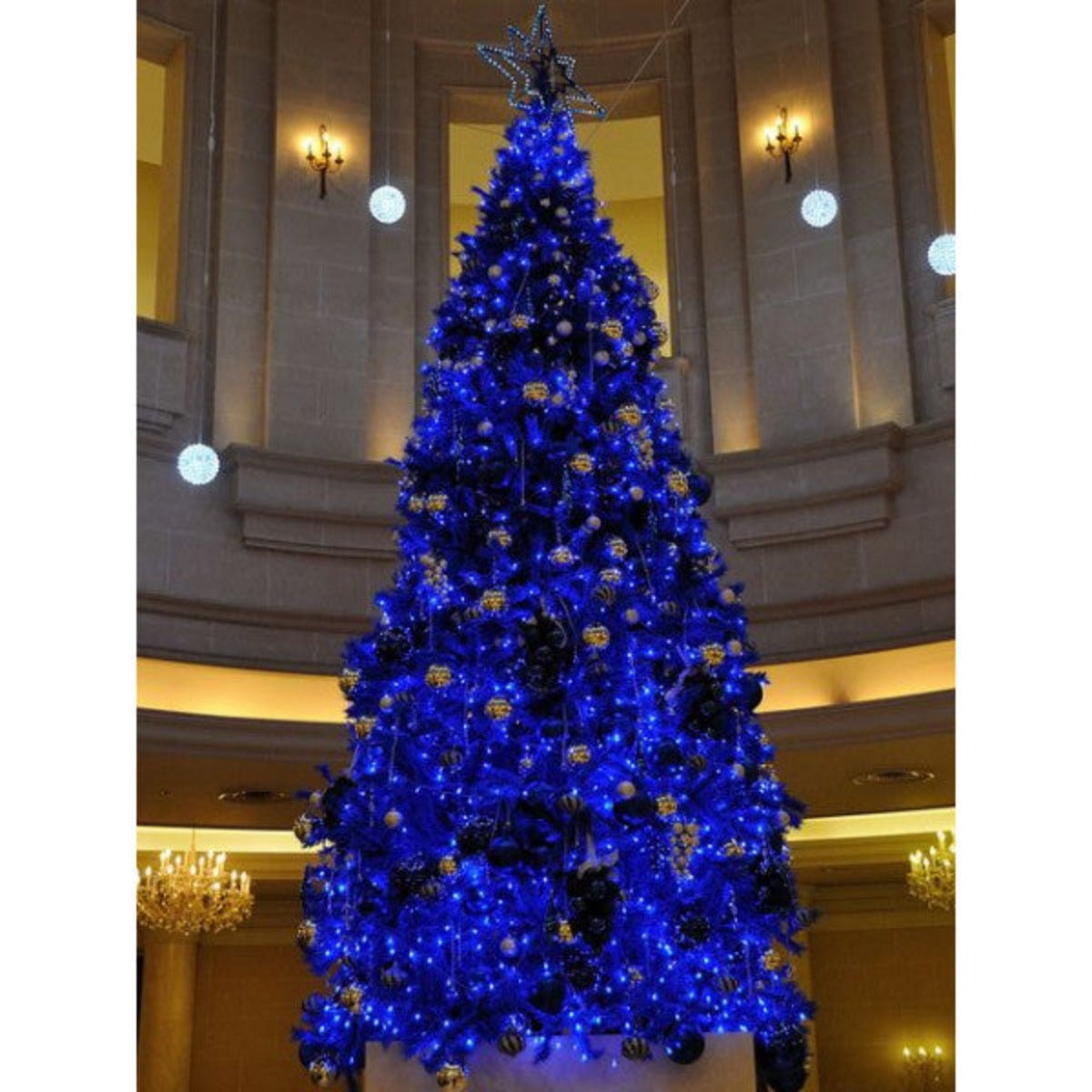 Luci di Natale per decorazioni da esterno catena 500 led