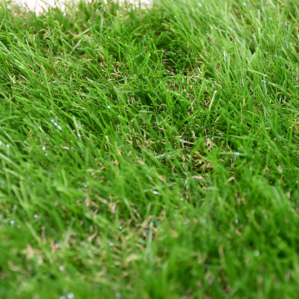 Prato sintetico 50 mm rotolo 2x5 mt effetto naturale